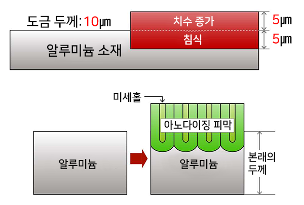 ���� �Ƴ����¡�� ������ ������_5_600.png