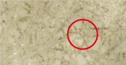 3��ġ�������Ǻ�ȭ_����û����1.png