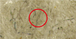 3��ġ�������Ǻ�ȭ_����û����2.png