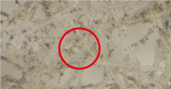 4��ġ�������Ǻ�ȭ_�ǳ��뿡����1.png